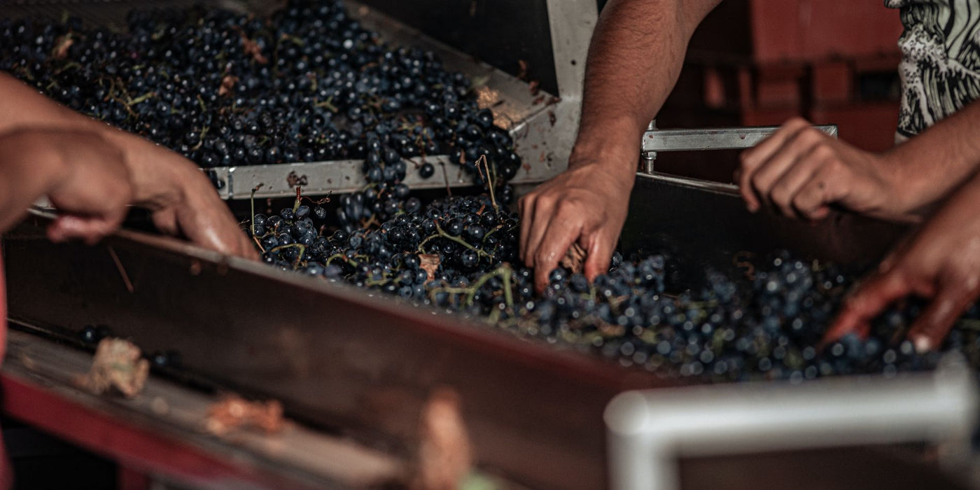 Boston Wine Expo